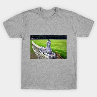 Sphinx T-Shirt